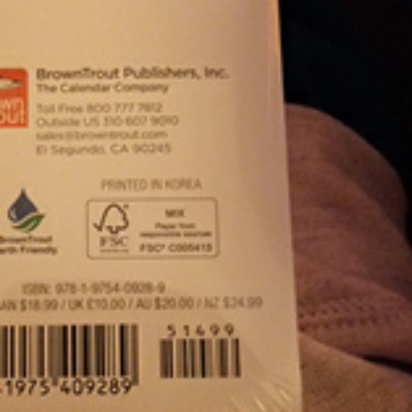 2020 PUG PUPPIES CALENDAR - Picture 4 of 4